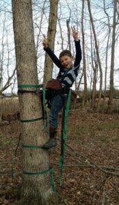 Silent Approach Tree Climbing System