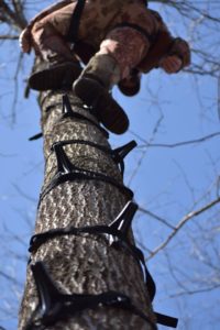 Silent Approach Tree Climbing System