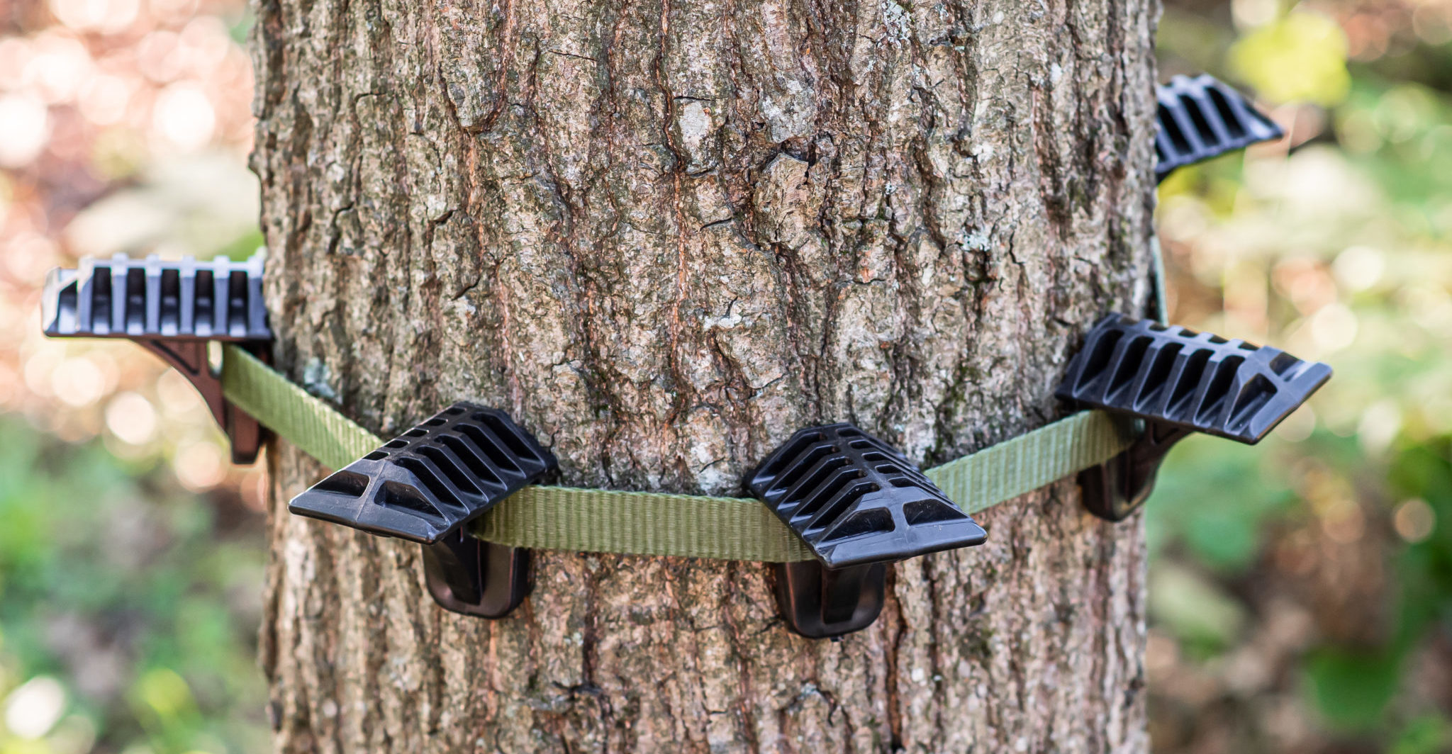 Ring of Steps Strap with separate Buckle (OCB)